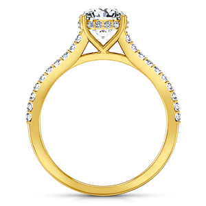Pave Engagement Ring Fantasia